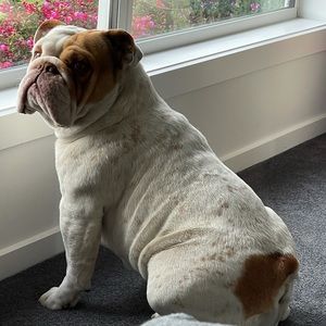 Meet your Posher, Jaclyn